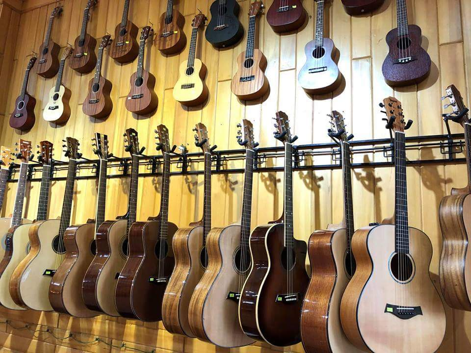 shop-guitar-o-tuy-hoa-dak-lak-dap-ung-nhu-cau-tu-nguoi-moi-den-chuyen-nghiep