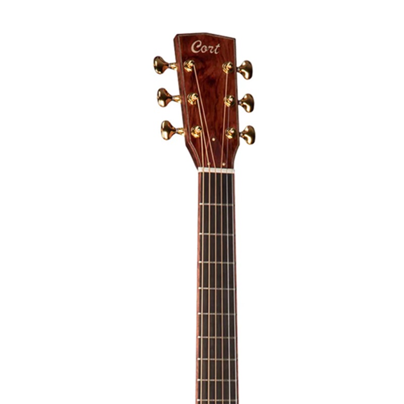 dan-guitar-acoustic-cort-roselyn-redux-natural-glossy-khoa-dan