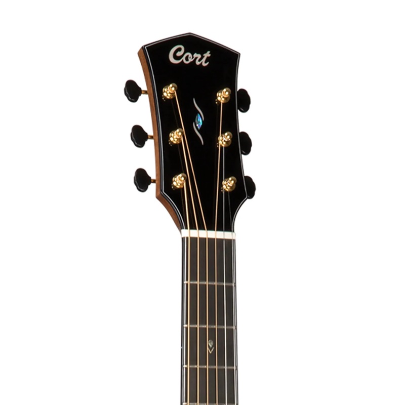 dan-guitar-acoustic-cort-goldedge-natural-glossy-khoa-dan