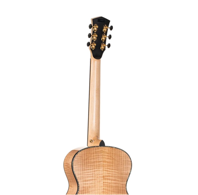 dan-guitar-acoustic-cort-goldpassion-natural-glossy-can-dan