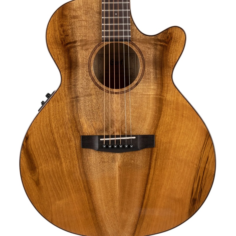 dan-guitar-acoustic-cort-sfxmyrtlewood-mat-top
