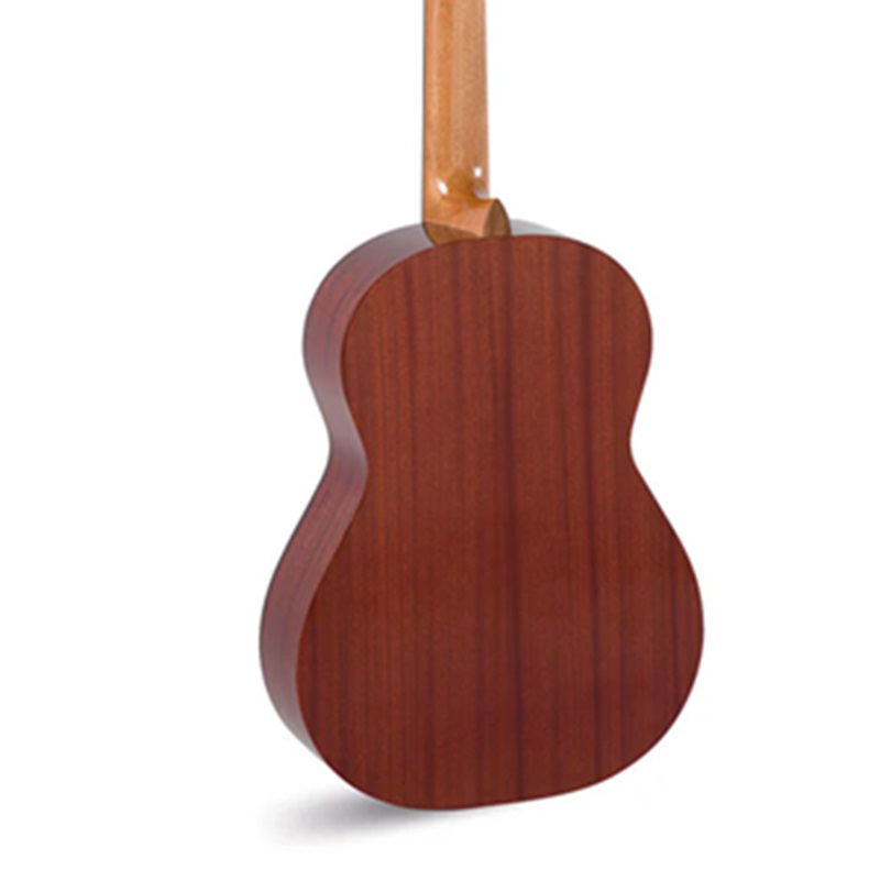 dan-guitar-classic-admira-paloma-mat-lung
