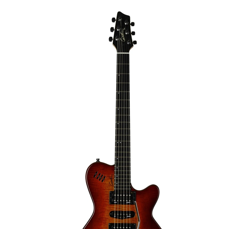 dan-guitar-dien-godin-xtsa-4