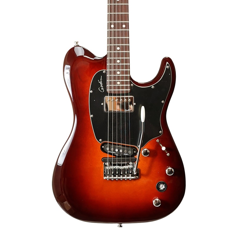 dan-guitar-dien-godin-session-triple-play-1