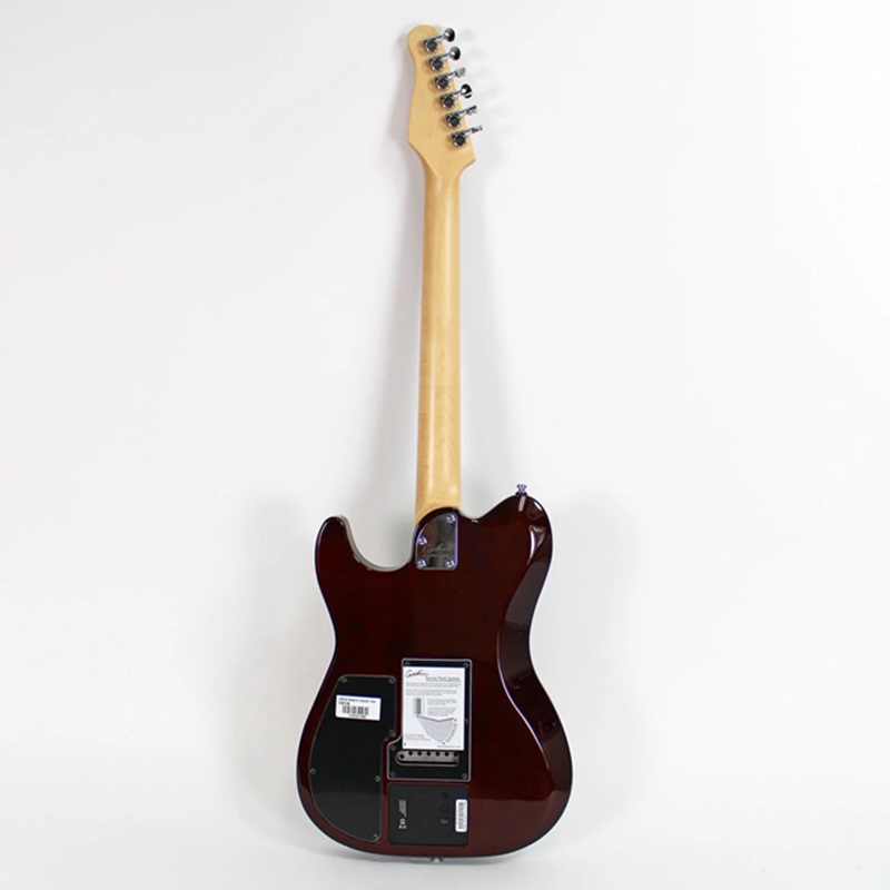 dan-guitar-dien-godin-session-triple-play-2