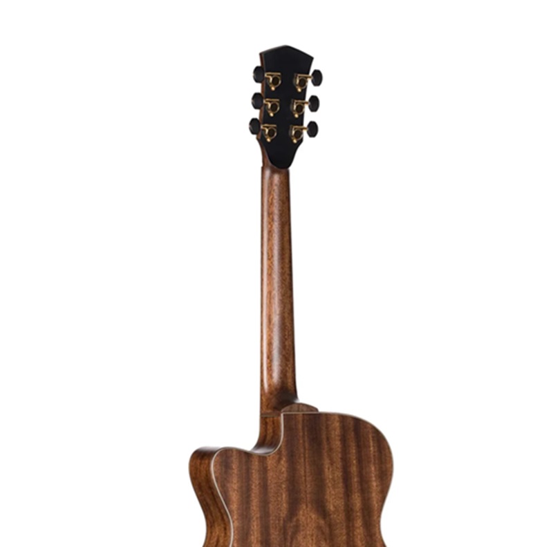dan-guitar-acoustic-cort-flowoc-natural-satin-can-dan