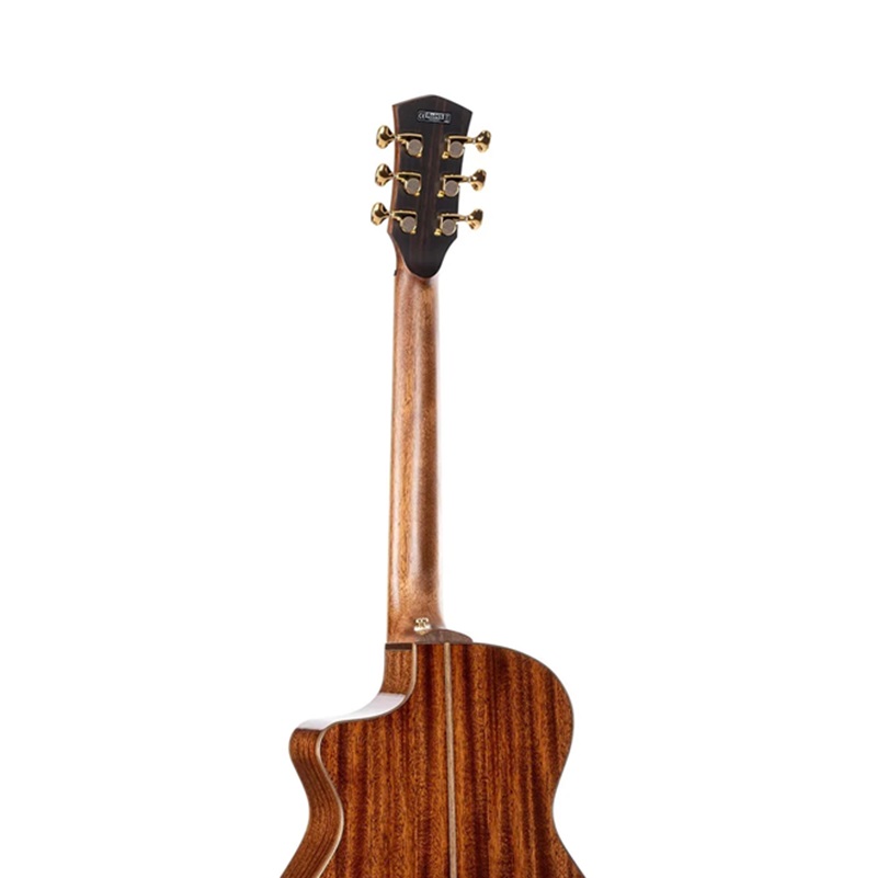 dan-guitar-acoustic-cort-modern-black-trans-black-gloss-can-dan