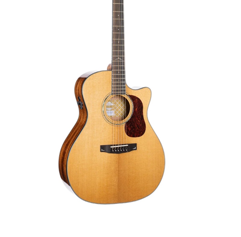dan-guitar-acoustic-cort-golddc6-mat-top