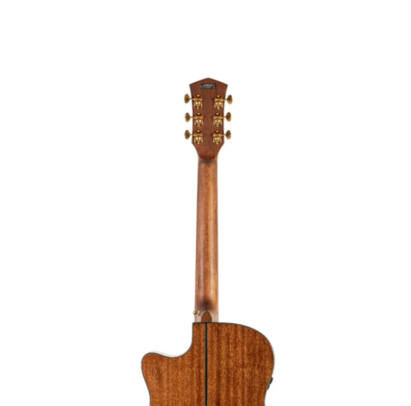 dan-guitar-acoustic-cort-golddc6-can-dan