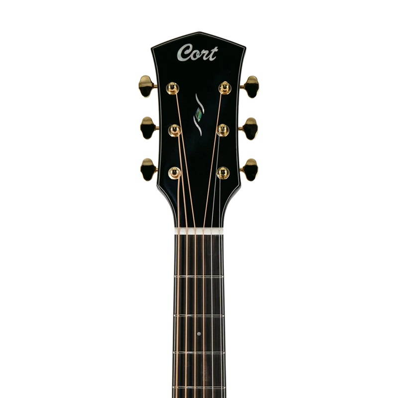 dan-guitar-acoustic-cort-golddc6-khoa-dan