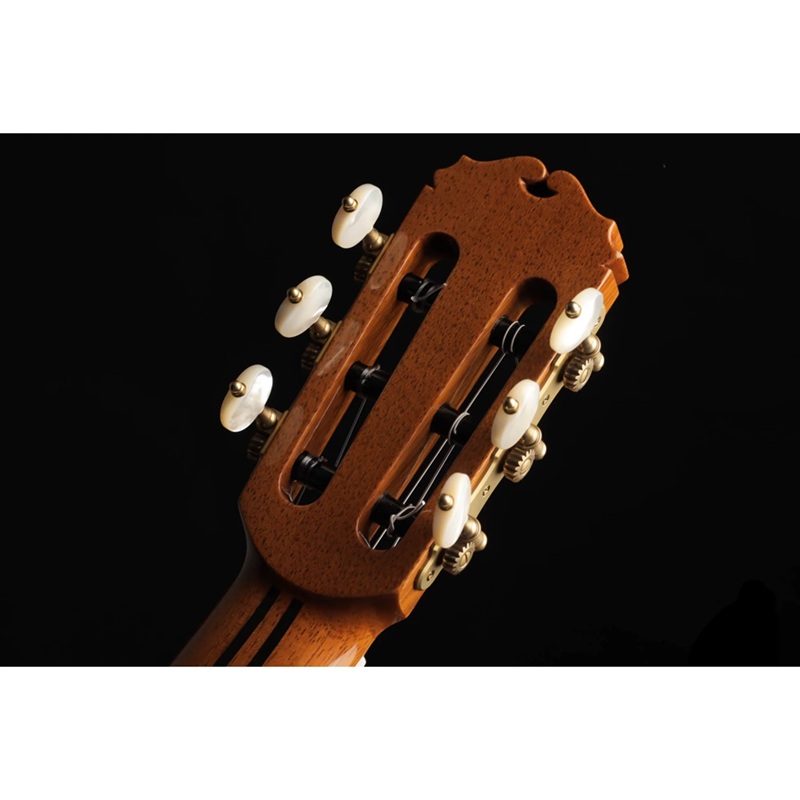 dan-guitar-classic-sakurai-kohno-special-cedar-4