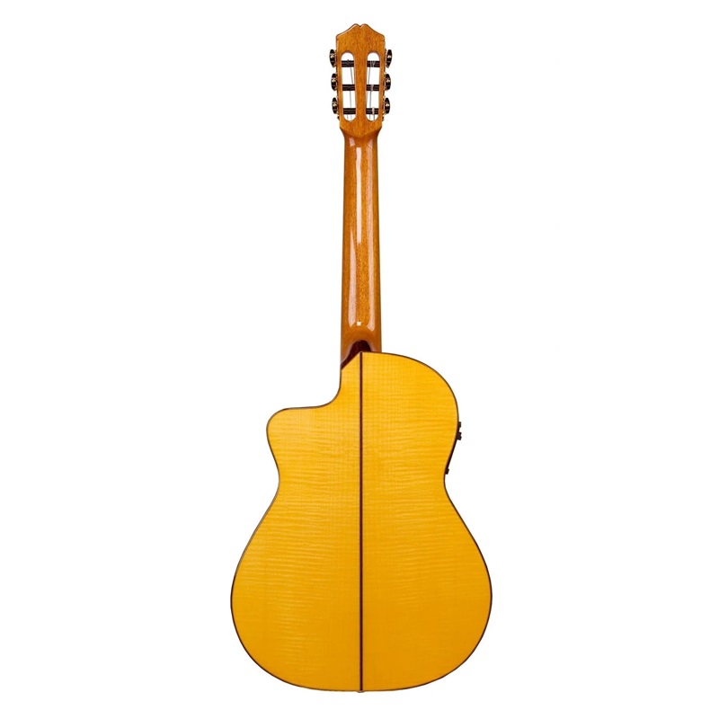 dan-guitar-classic-cordoba-55fce--honey-amber-thinbody-mat-lung-va-hong