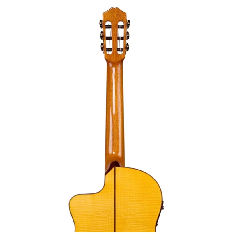 dan-guitar-classic-cordoba-55fce--honey-amber-thinbody-can-dan