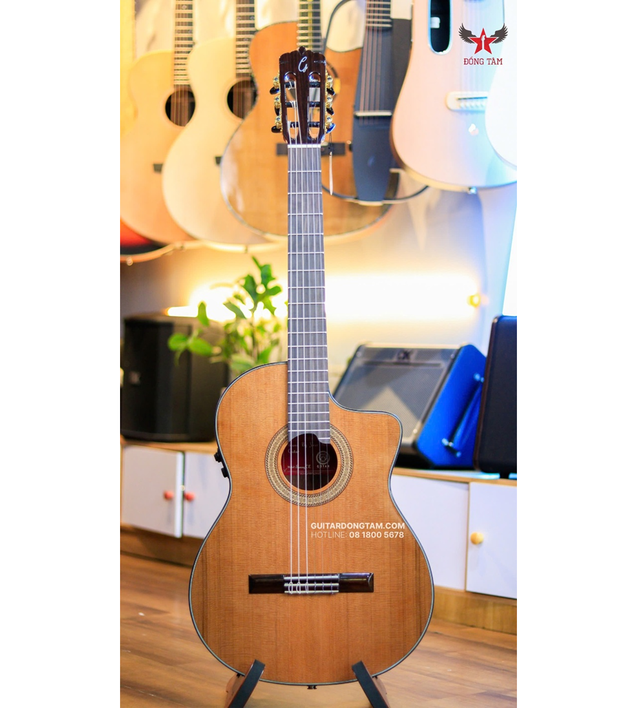 so-sanh-guitar-gotar-va-cordoba