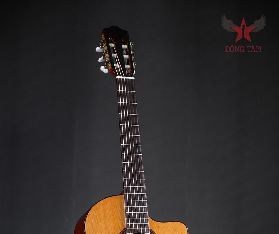 so-sanh-guitar-gotar-va-cordoba