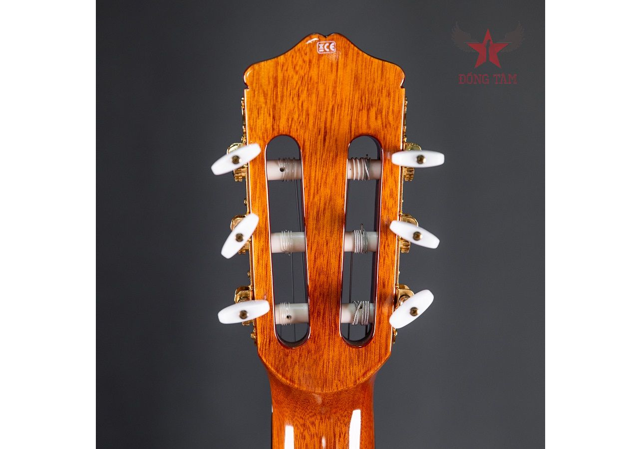 so-sanh-guitar-gotar-va-cordoba