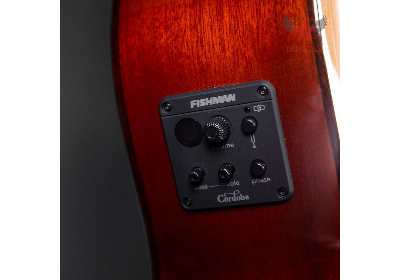 so-sanh-guitar-gotar-va-cordoba