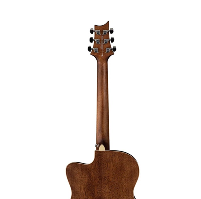 dan-prs-se-a20-angelus-can-dan