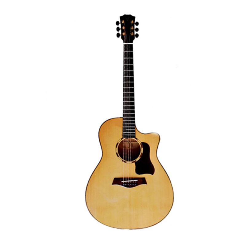 dan-guitar-acoustic-ba-don-t550c