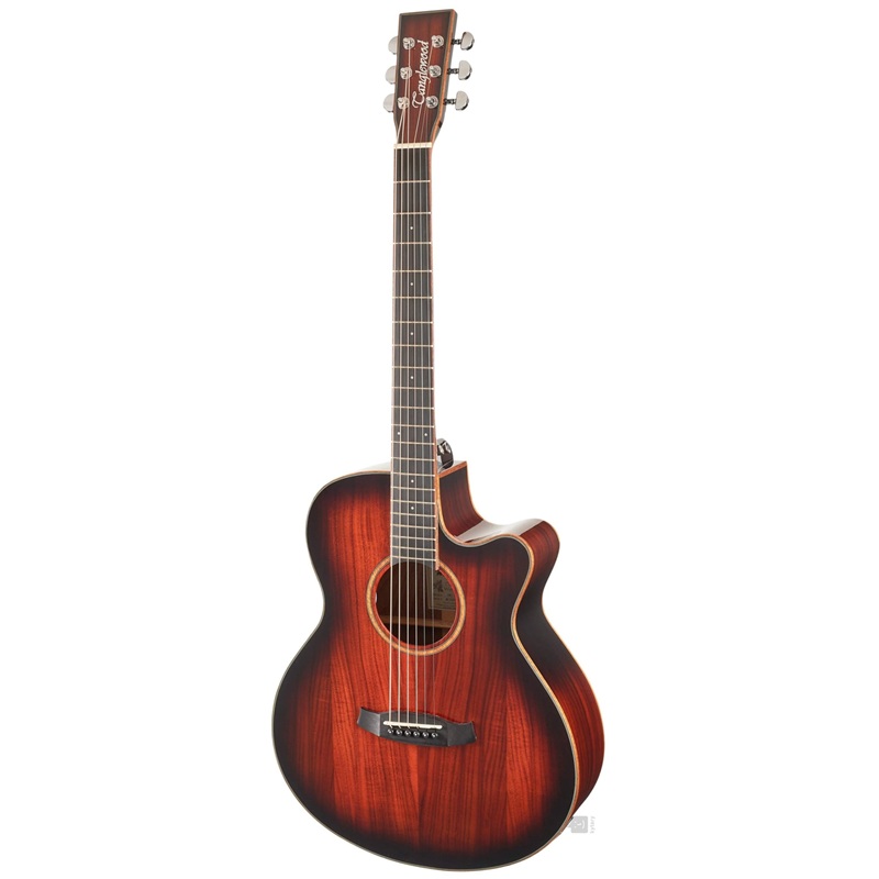 dan-guitar-acoustic-tanglewood-tw4ekoa