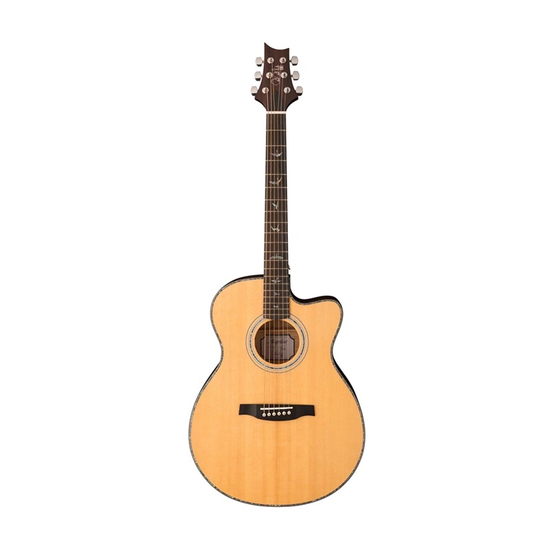 dan-guitar-acoustic-prs-se-a55e-angelus