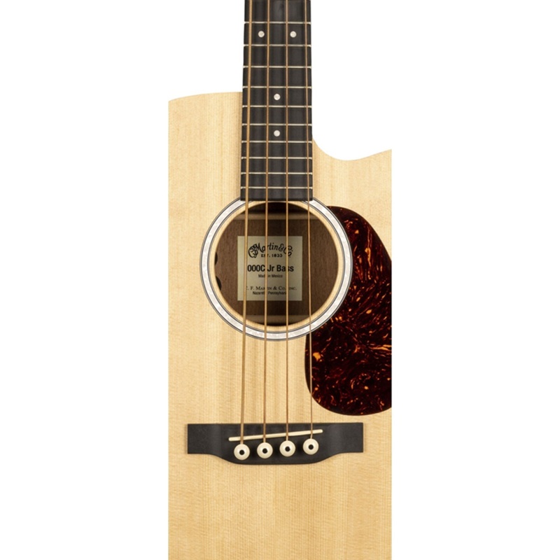 dan-guitar-acoustic-bass-martin-000cjr10e-bass-wbag-mat-top