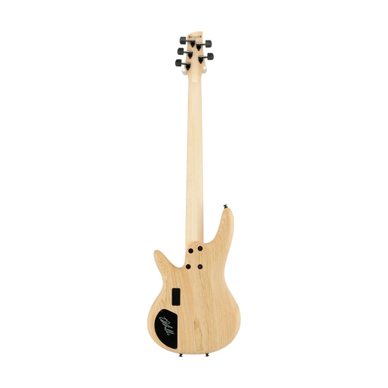 dan-guitar-bass-gwb1005-gary-willis-signature--ebony-fingerboard-natural--5-strings-mat-lung-va-hong
