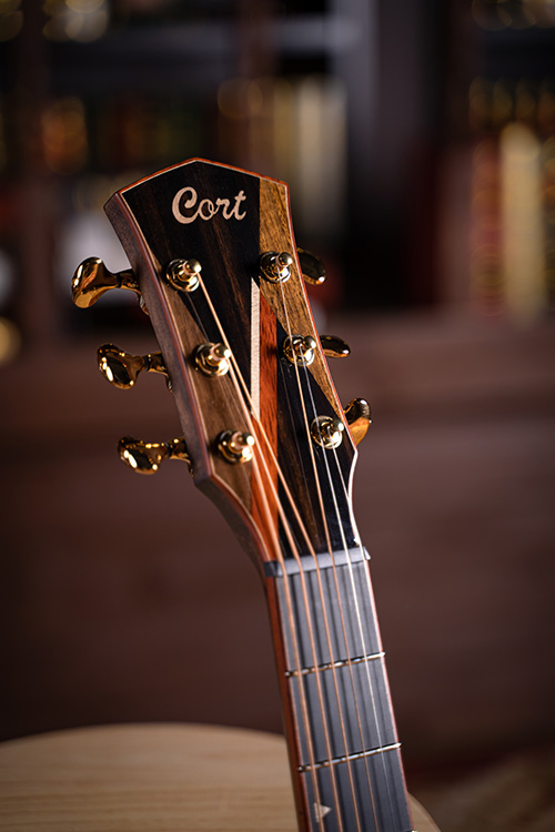 guitar-cao-cap-nen-mua-2026