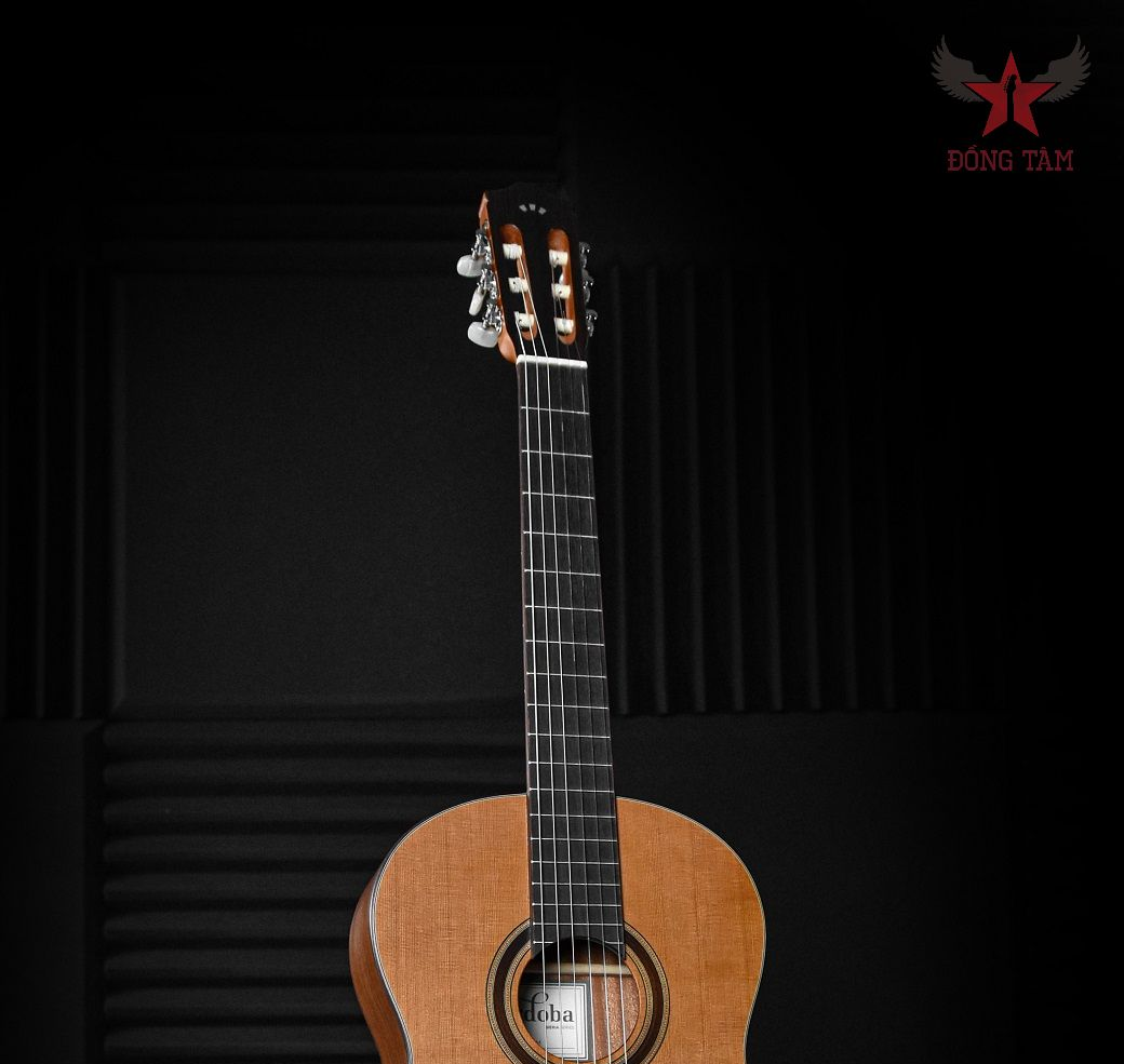 top-guitar-thung-gia-re-dang-mua-2026