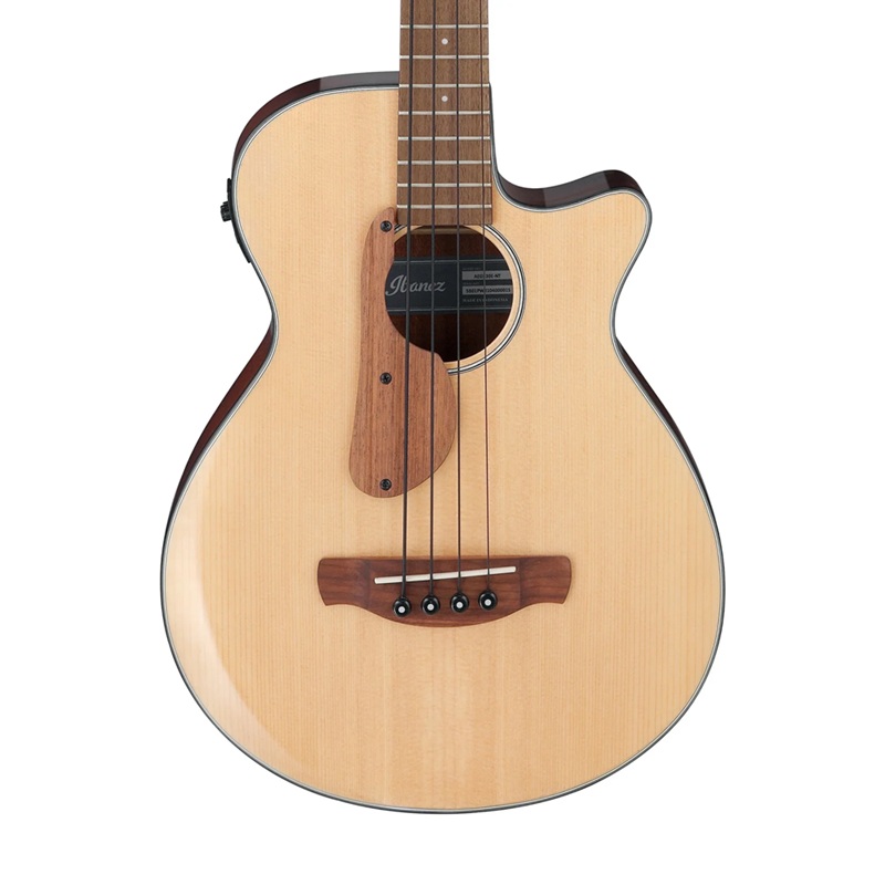 dan-guitar-bass-acoustic-ibanez-aegb30e--4-strings-mat-top