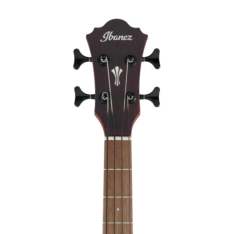 dan-guitar-bass-acoustic-ibanez-aegb30e--4-strings-khoa-dan