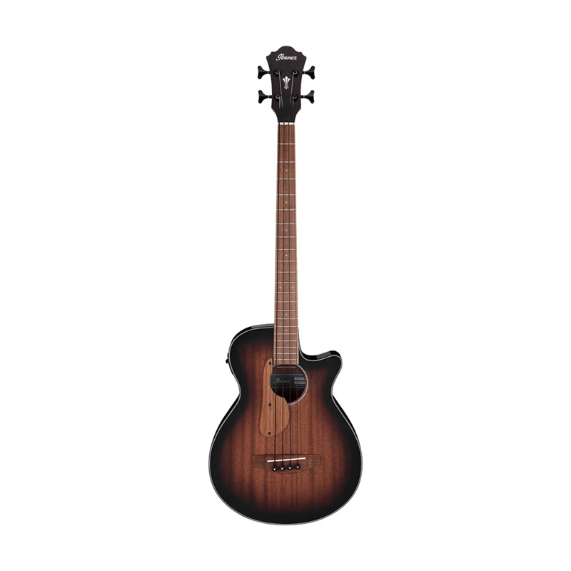 dan-guitar-bass-acoustic-ibanez-aegb24e--4-strings