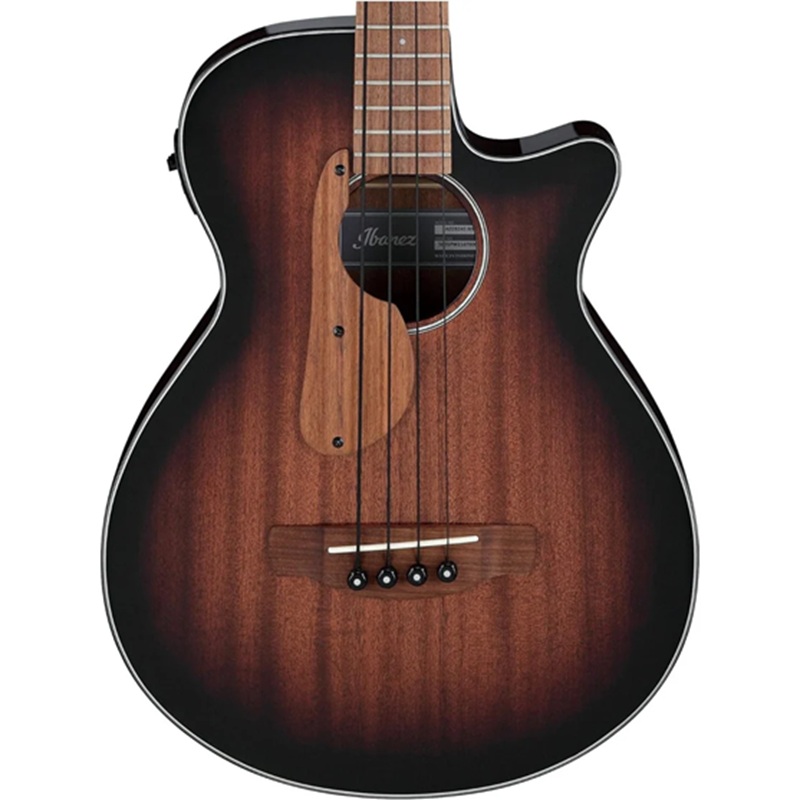 dan-guitar-bass-acoustic-ibanez-aegb24e--4-strings-mat-top