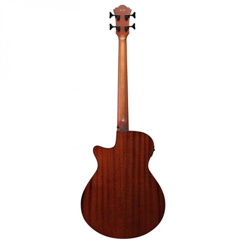 dan-guitar-bass-acoustic-ibanez-aegb24e--4-strings-mat-lung-va-hong