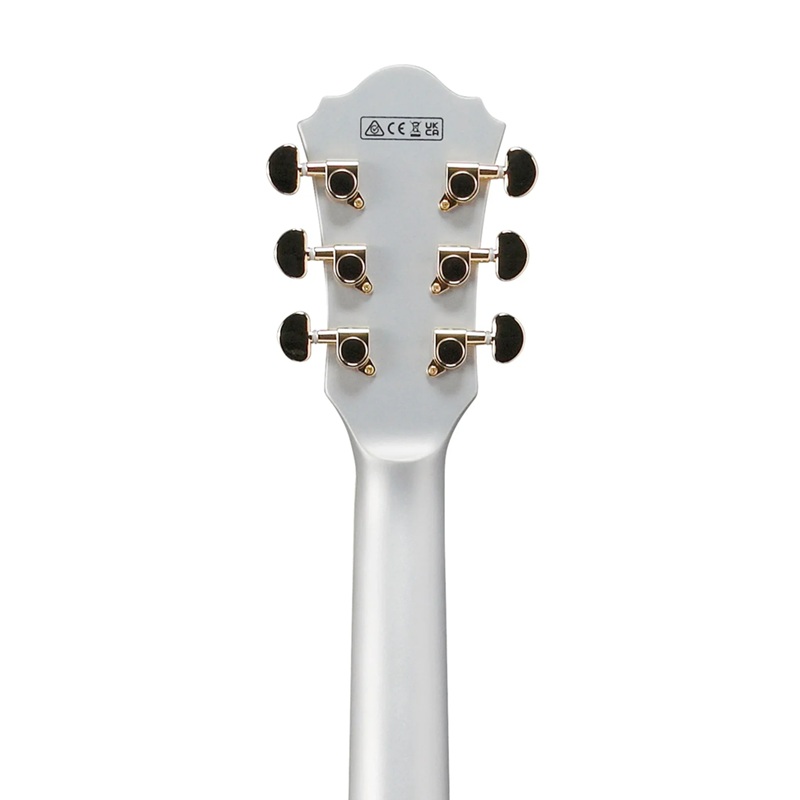 dan-guitar-dien-ibanez-as73g-hh-walnut-fingerboard-3