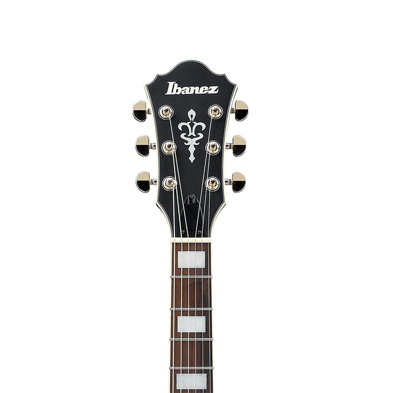 dan-guitar-dien-ibanez-as7312-hh-walnut-fingerboard-4