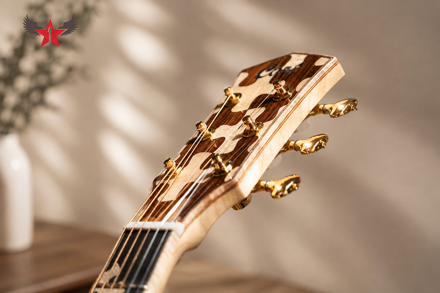 bo-khoa-dan-guitar-acoustic-cort-the-puzzle-le-natural-glossy