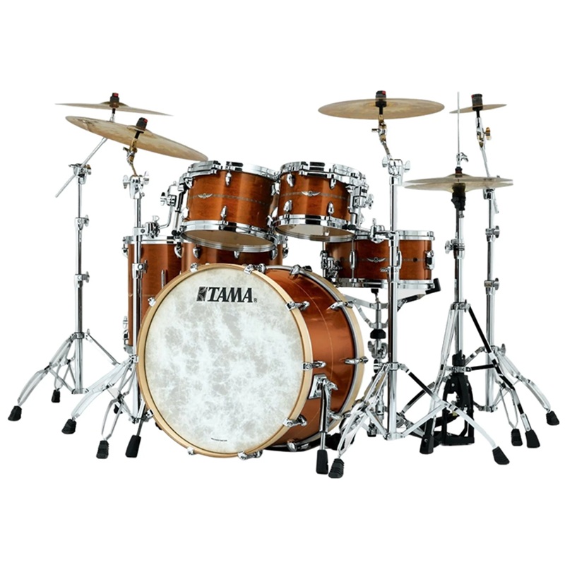 trong-co-tama-star-maple-tm52zsscbt