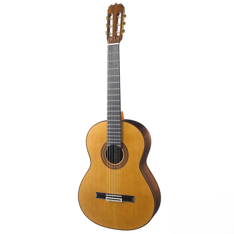 dan-guitar-classic-jose-ramirez-especial-1a-cocobolo--cedar