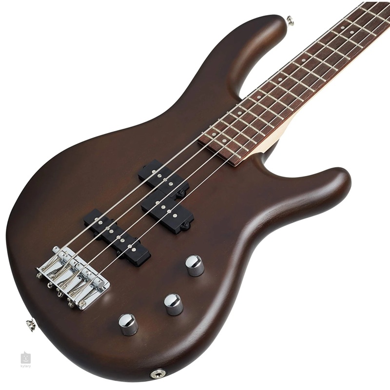 dan-guitar-bass-cort-action-pj-ss-jatoba-fingerboard--4-strings-mat-top