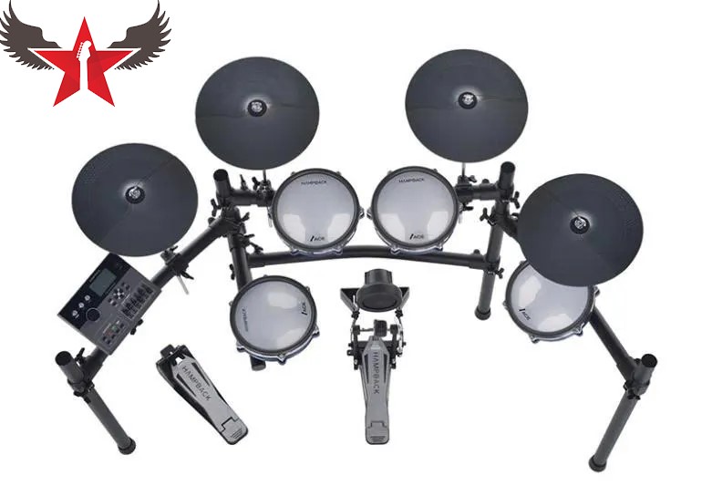 trong-dien-tu-hampback-ace530