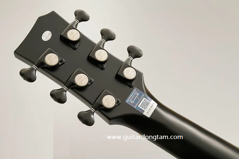 mua-dan-guitar-chinh-hang