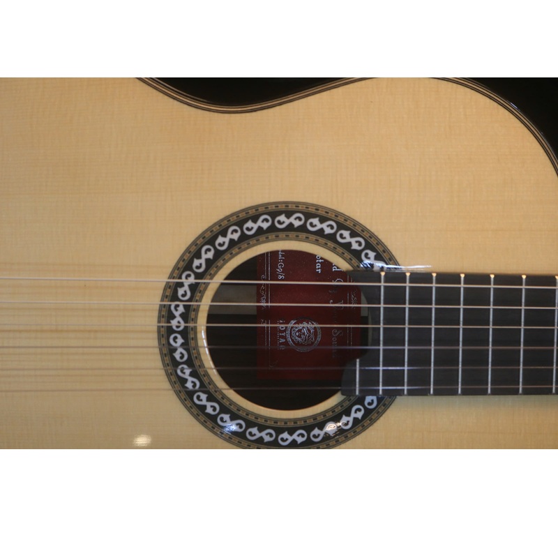dan-guitar-classic-gotar-g9-mat-top