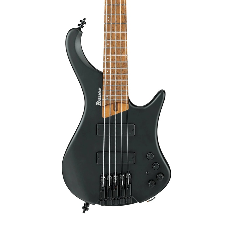dan-guitar-bass-ibanez-ehb1005--ehb-workshop-hh-maple-fingerboard-black-flat--5-strings-mat-top