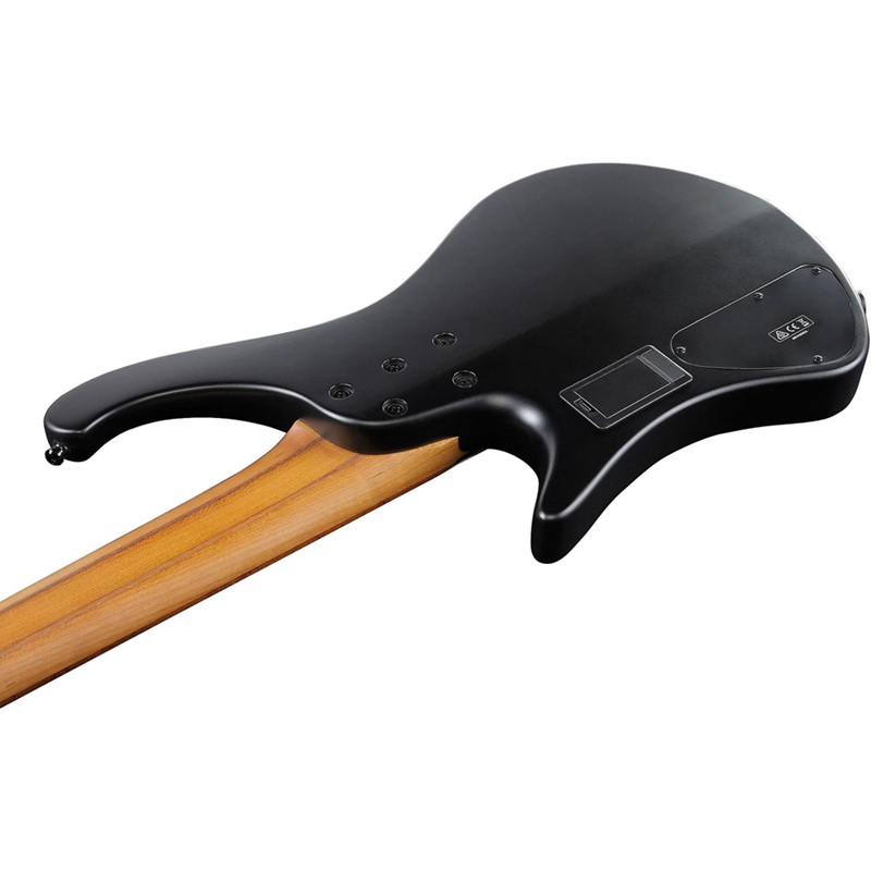 dan-guitar-bass-ibanez-ehb1005--ehb-workshop-hh-maple-fingerboard-black-flat--5-strings-mat-sau