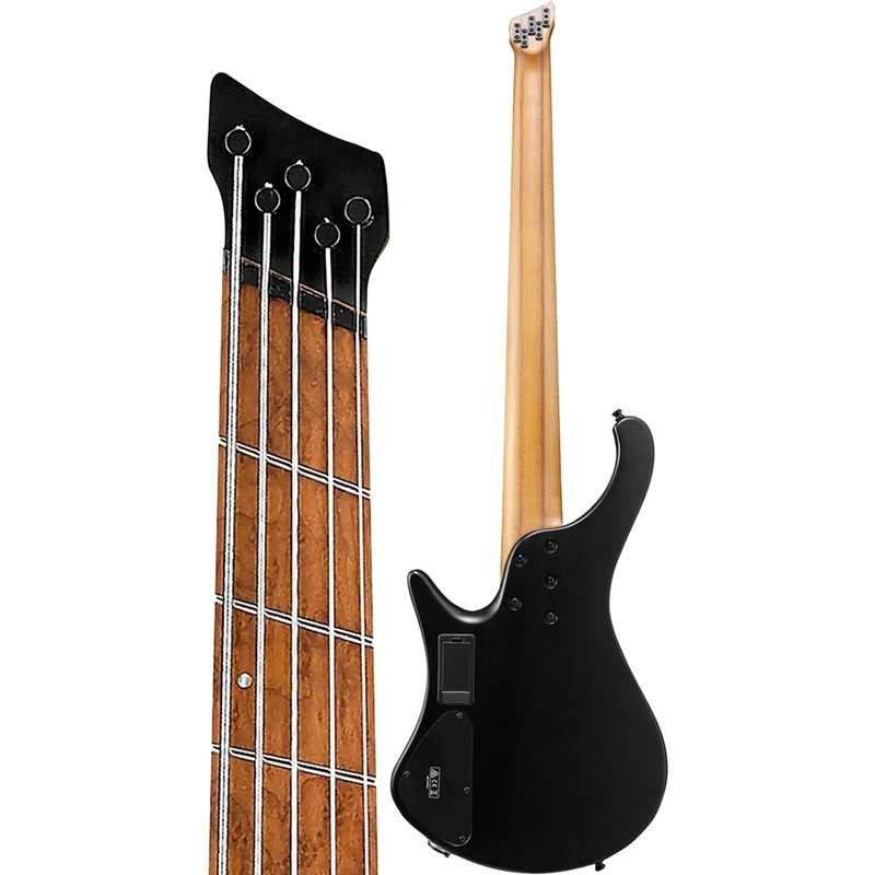 dan-guitar-bass-ibanez-ehb1005--ehb-workshop-hh-maple-fingerboard-black-flat--5-strings-mat-lung-va-hong