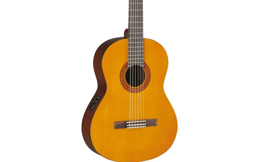 moi-hoc-guitar-nen-chon-loai-nao-2026