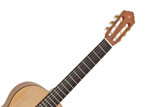 moi-hoc-guitar-nen-chon-loai-nao-2026