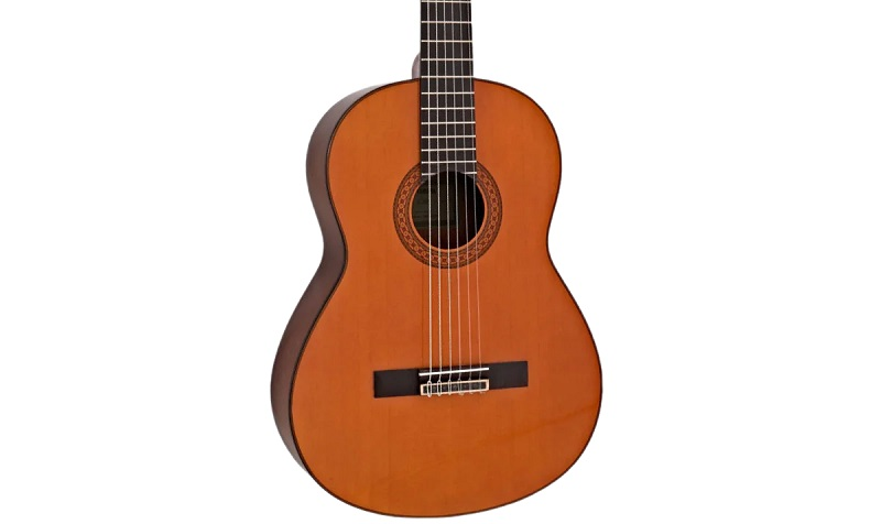 moi-hoc-guitar-nen-chon-loai-nao-2026