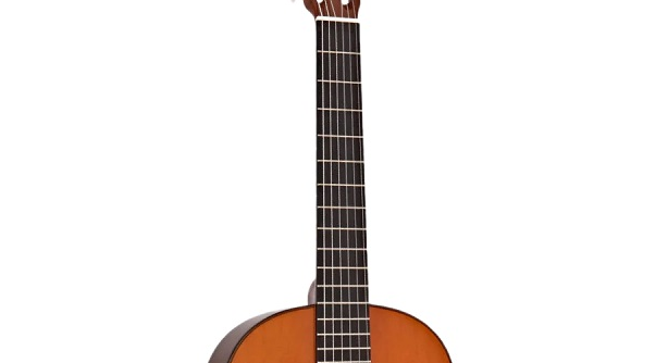 moi-hoc-guitar-nen-chon-loai-nao-202